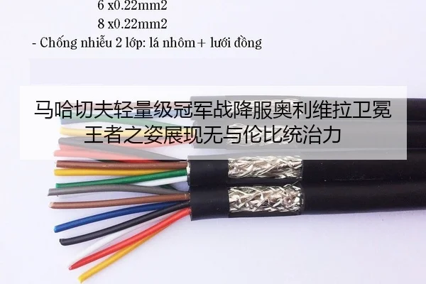 ma-ha-qie-fu-qing-liang-ji-guan-jun-zhan-xiang-fu-ao-li-wei-la-wei-mian-wang-zhe-zhi-zi-zhan-xian-wu-yu-lun-bi-tong-zhi-2-871.jpg